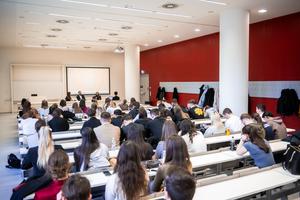 2_kreativ_rombolas_mult_tapasztalatai_jovo_lehetosegei_2026-2